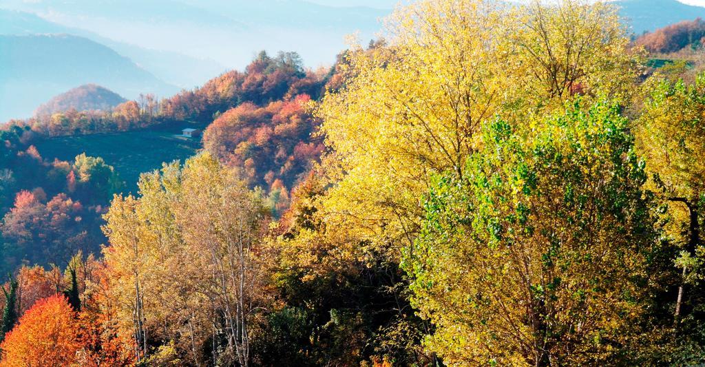 카스티노 Borgo San Rocco Piemonte 아파트 외부 사진