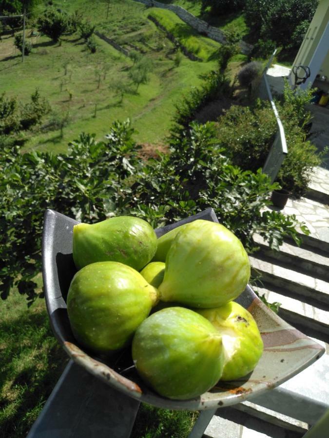 카스티노 Borgo San Rocco Piemonte 아파트 외부 사진