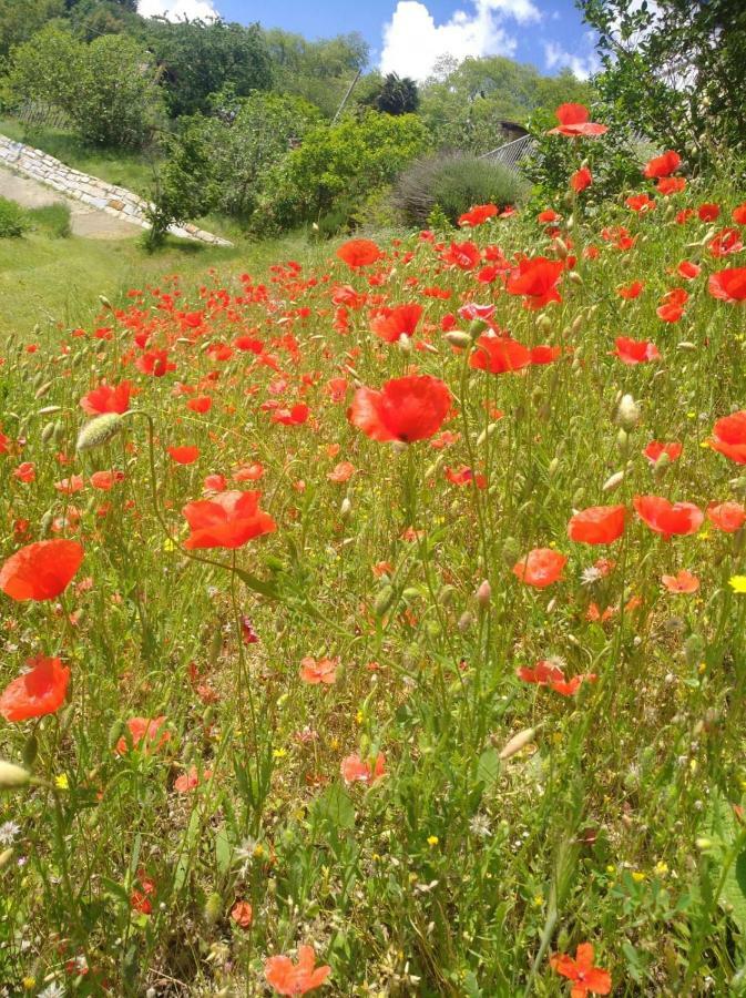 카스티노 Borgo San Rocco Piemonte 아파트 외부 사진